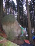Grüner Drache